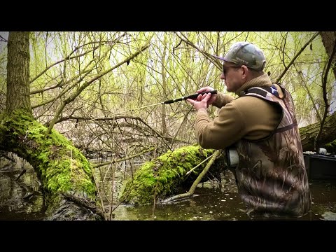 Видео: Затопило ЛІС🌳🌳🌳ЛОВЛЮ КРУПНОГО КАРАСЯ ПРЯМО В ДЕРЕВІ🌴🌴🌴