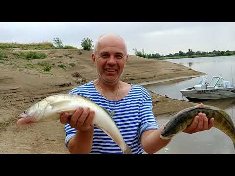 Видео: О рыбалке на нижней волге. Июль 21 года.