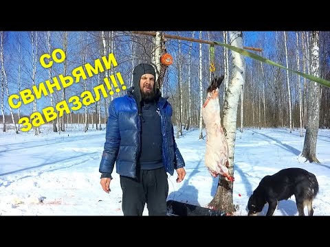 Видео: СВИНЕЙ БОЛЬШЕ НЕ ДЕРЖИМ. ПОЧЕМУ? ОПЯТЬ ЧП!