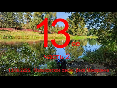 Видео: 13-е. Часть 2. река Македонка. Пос. Малаховка. 13.09.2025. Рыбалка в Подмосковье.