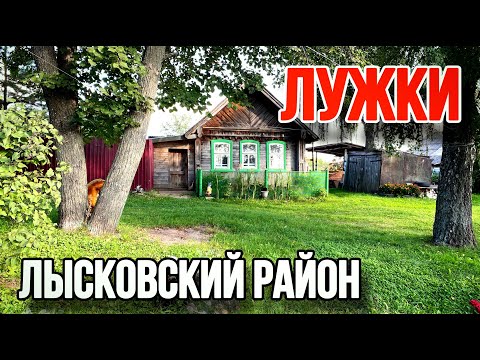 Видео: Лужки. Лысковский район. Уютный родник.
