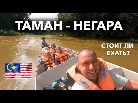 Видео: ТАМАН - НЕГАРА | МАЛАЙЗИЯ | ДИКИЙ ЭКВАТОРИАЛЬНЫЙ ЛЕС | В ГОСТЯХ У ПЕРВОБЫТНЫХ ЛЮДЕЙ