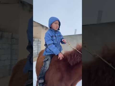 Видео: 4 марта 2024 г.