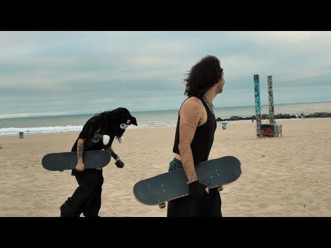 Видео: контрольно-пропускной пункт середины лета