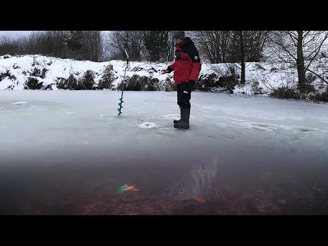 Видео: КАК играют ДЕШЕВЫЕ балансиры на окуня! Рыбалка зимой со льда