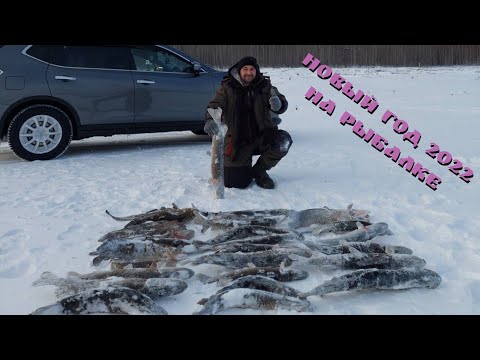 Видео: Щука на жерлицы. Рыбалка на новый год 2022. Бурейское водохранилище.