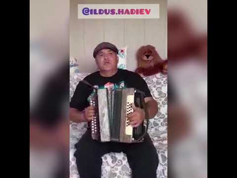 Видео: "Яшьлек жыры".Илдус Хадиев.Гармунда татарча жырлар.