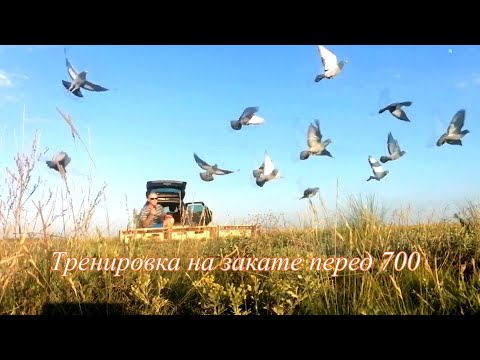 Видео: Тренировка на закате перед 700