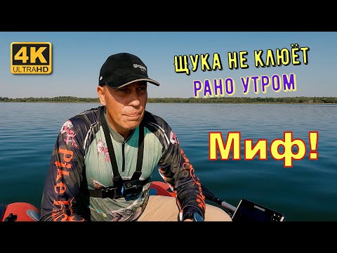 Видео: Миф: Щука не клюёт рано утром!