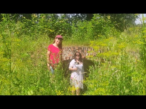 Видео: ТУННЕЛЬ ПОД БАРСКИМ ДОМОМ В ЛЕСУ ПОД ЛУГОЙ.