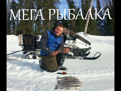 Видео: МЕГА  РЫБАЛКА !КРУПНЫЙ ХАРИУС МАРТ /НА СНЕГОХОДЕ ВЕДРОВЕРТАКТО!