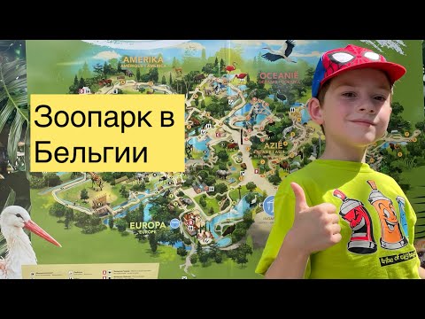 Видео: Зоопарк в Бельгии/ Чем заняться летом/ Belgium zoo