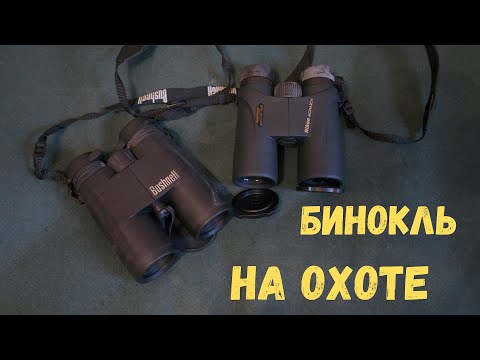 Видео: Бинокль на Охоте