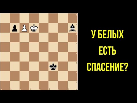 Видео: Реально ли спастись без слона? Как думать в шахматах, когда все ходы плохие?