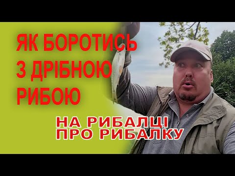 Видео: Як боротися з дрібною рибою