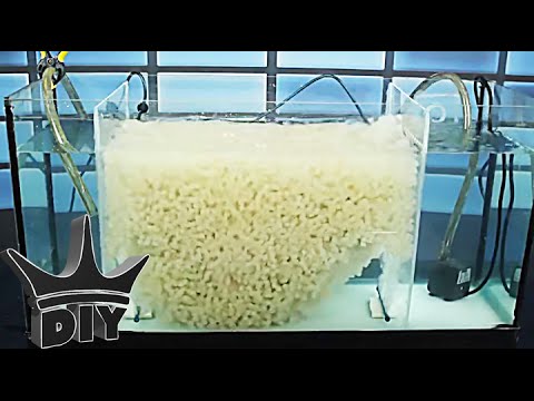 Видео: КАК: построить аквариумный самп — фильтр с подвижным слоем псевдоожиженного слоя