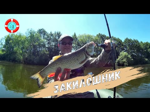 Видео: Тест приманок Ronin Rush / ПОЙМАЛ ТРОФЕЙЧИК