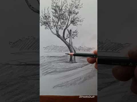 Видео: Как нарисовать дерево карандашом ✏