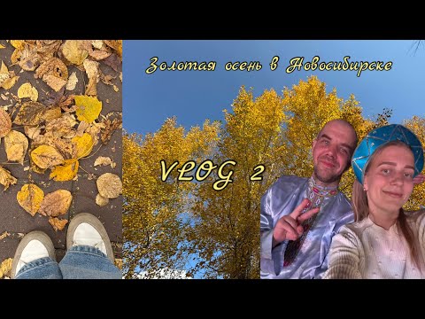 Видео: VLOG 2 | Золотая осень | Рецепты завтраков | Концерт Кадышевой | ДР подруги | День компании