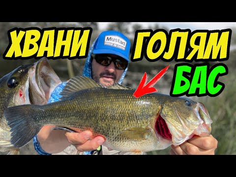 Видео: ТАЙНИТЕ на УСПЕХА в РИБОЛОВА на БАС