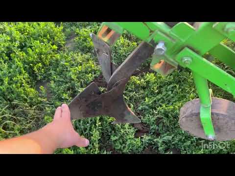 Видео: Міжрядний культиватор не лізе в землю😱😱😱 кубота GT 21. 💪🏻