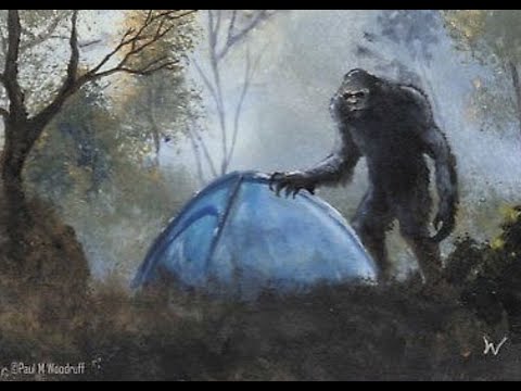 Видео: Бигфут и снежный человек. Наблюдения. Совпадения и факты. В контексте личного опыта.