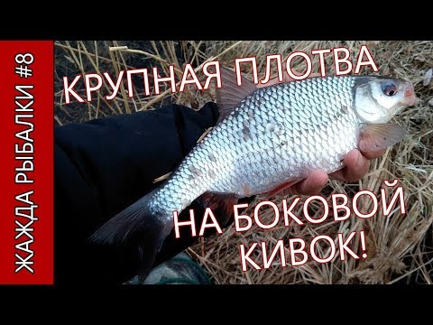 Видео: Боковой кивок + безмотылка (летняя мормышка). Крупная плотва весной, лучшие поклевки. Часть 2.