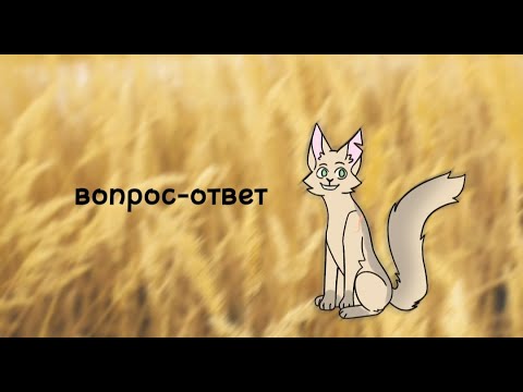 Видео: Вопрос-ответ