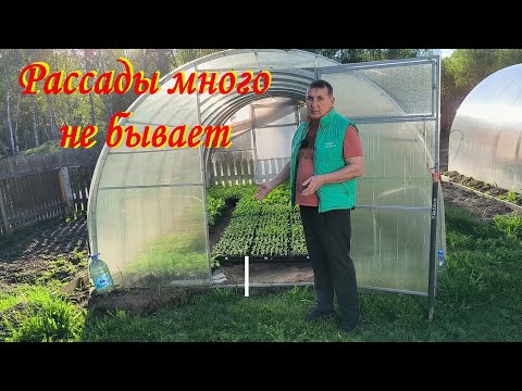 Видео: Закаляем РАССАДУ ТАБАКА. ЦВЕТЫ зацвели в ПАРНИКЕ. В доме воцаряется порядок. Наша жизнь в деревне.