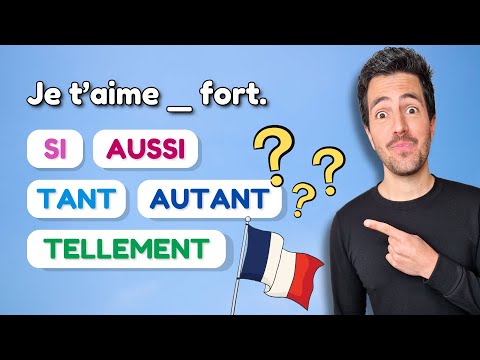 Видео: ⚠️ Как использовать SI, AUSSI, TANT, AUTANT и TELLEMENT на французском языке?