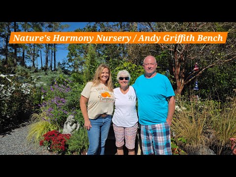 Видео: Детский сад Nature's Harmony/Скамья Энди Гриффита — Маннс-Харбор, Северная Каролина