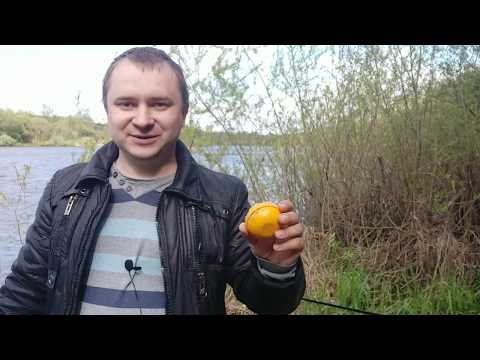 Видео: Береговой эхолот с Алиэкспресс 1 год использования. Плюсы и минусы, впечатления