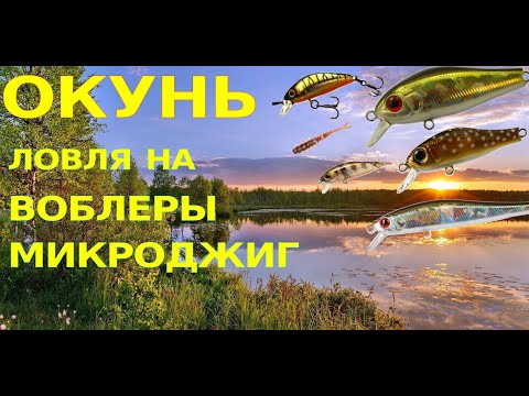 Видео: Окунь на воблеры  ZipBaits Rigge 43, Chubby Minnow 35 и другие