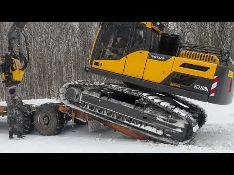 Видео: Гусеничный харвестер VOLVO EC220DL Доставка тралом в лес