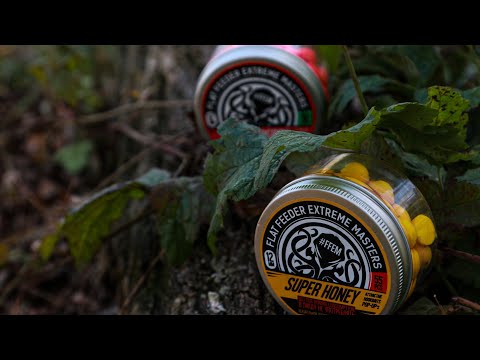 Видео: Эта насадка выловит всего карпа в водоеме! Ловля карпа на платнике.  Карпфишинг 2020 в августе