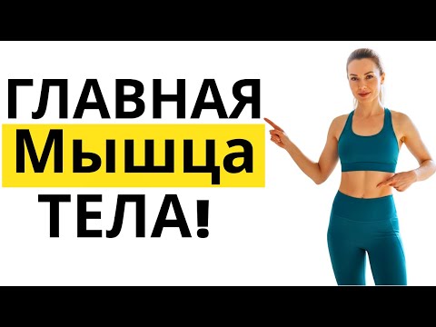Видео: Это самая главная мышца в теле, о которой вы даже не догадывались