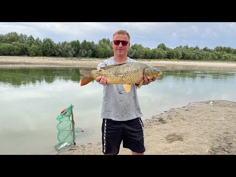 Видео: Рыбалка,Низовье Каратала. 23 июля #рыбалка #каратал #низовьекаратала #сазан #отдых #жетысу