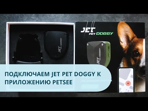 Видео: Jet Pet Doggy как подключить трекер к приложению Petsee