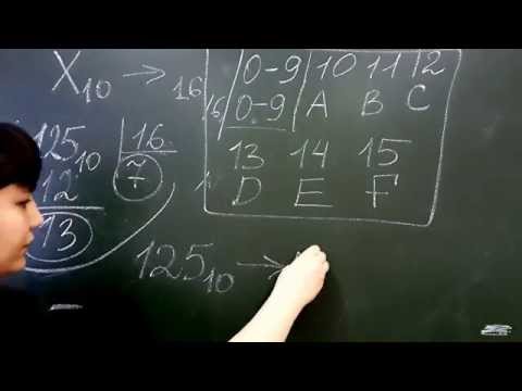 Видео: Перевод чисел из десятичной в шестнадцатеричную систему счисления. Лекция по информатике №3