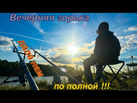 Видео: НАКОНЕЦ-ТО КРУПНЫЙ ЛЕЩ ПОДОШЁЛ‼️