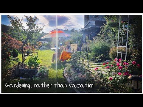 Видео: #51. Садовник, который любит садоводство больше, чем отдых.🍹🌼lНаслаждайтесь отдыхом в моем саду