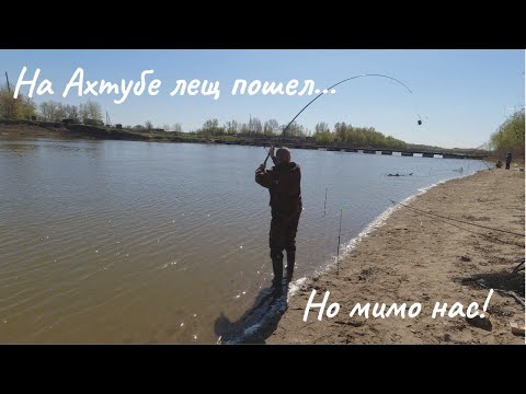 Видео: На Ахтубе лещ пошел...Но мимо нас!