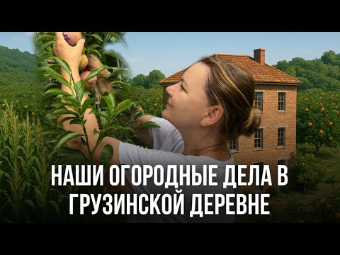 Видео: Переехали в Грузию. Купили дом в деревне. 