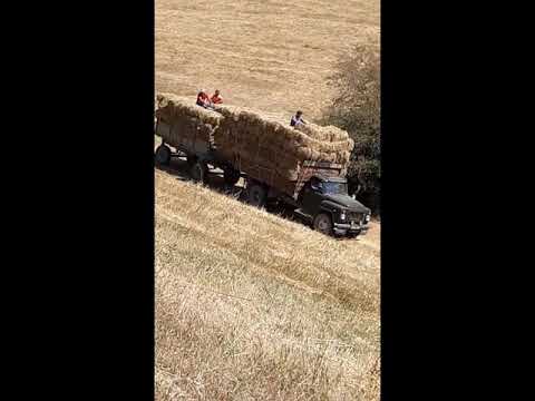 Видео: Авлетим 2019 Жарбашы