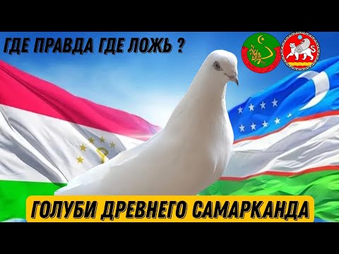 Видео: КАК НАЗЫВАЛИ ТАДЖИТСКИХ ГОЛУБЕЙ 60 ЛЕТ НАЗАД В ТАДЖИКИСТАНЕ ?  ЧЕРНОНОСЫЕ БУХАРСКИЕ ГОЛУБИ! ПРАВДА)