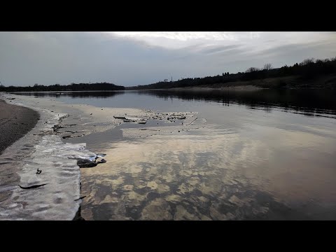 Видео: Ловим налима на реке Вятка. Закрытие сезона по открытой воде!