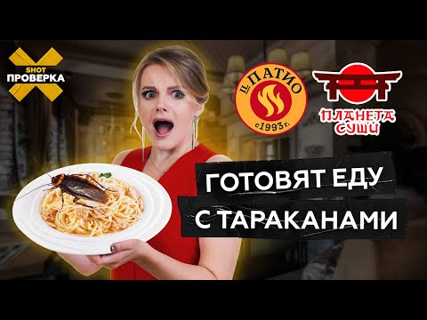 Видео: Тараканы в рисе и грязные руки – кошмар на кухне «Планета Суши» и «Иль Патио» #SHOTПРОВЕРКА