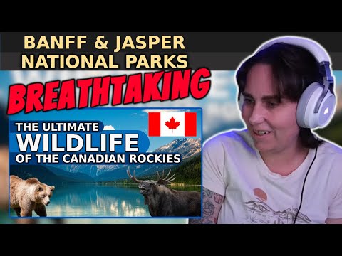 Видео: Лучший документальный фильм о дикой природе Канадских Скалистых гор — Банф и Джаспер | Реакция ав...