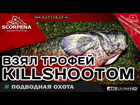 Видео: Взял  достойный трофей KILLSHOOTOM  на подводной охоте сплавом