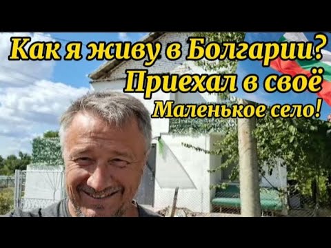 Видео: Болгария. Приехал в село! Пора сажать еловые (конифер)! Начинаю жить по новому. 